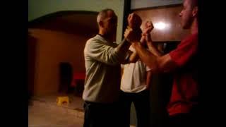 Taijiquan (Tai Chi Chuan) Fighting Tactics - Dave Nicholson - Cutting Edge Internal Combat System