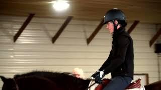 Starting a Sporthorse with Jennifer Diamond