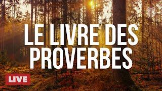  Sagesse moderne des Proverbes | Diffusion en direct de la Bible 24/7