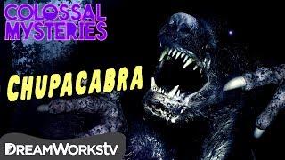 What is El Chupacabra? | COLOSSAL MYSTERIES