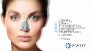 Rhinoplasty Cosmetic Roadmap of the Face |  Dr. Thomas Buonassisi, 8 West Clinic in Vancouver BC