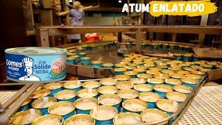 Como o ATUM enlatado é produzido- Processo industrial.