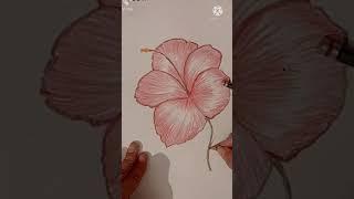 How to draw Hibiscus  @poonam Art