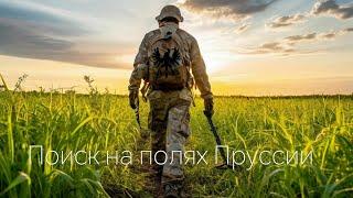 По полям Пруссии. Копаем в Калининграде. #metaldetecting #коп #клад #копатели #subscribe #пруссия