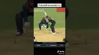 Wanindu Hasaranga de Silva @Australia ️‍ #shorts #waninduhasaranga #wanindu #slcricket  #srilanka