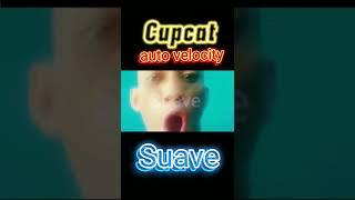 auto velocity cupcat|Agamo Channel #short #satisfying #autovelocity