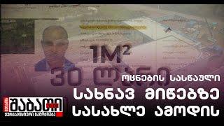 როგორ გაიფორმა მინისტრ დავითაშვილის ძმამ, სახელმწიფოს ქონება - სახნავ მიწაზე ამოიზრდილი სასახლე