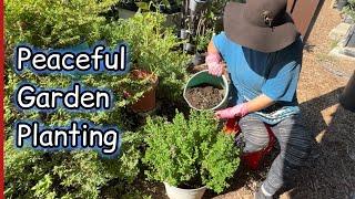 Garden Daily Routine Talking Money Saving Tips & Ideas on Planting & Container Gardening & Free Soil