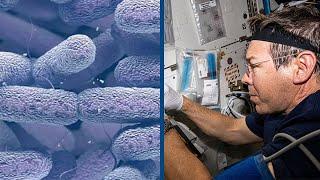 The Mutant Bacteria of the International Space Station