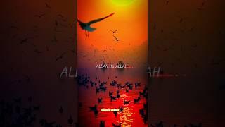 Allah hu akbar status #Allah #Muhammad #viral