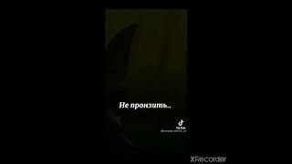 Коты - Воители (Любимое Видео Из Тик - Тока)