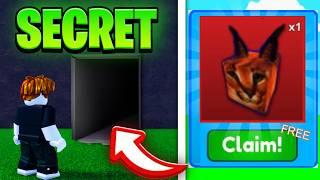 All SECRETS & GLITCHES In Meme Sea! (Roblox)