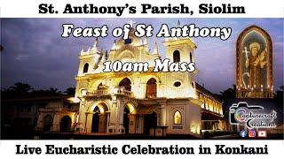 Feast of St Anthony | Konkani Mass Live at 10am, 15th June 2025 | St Anthony's Church Siolim