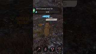 wolf vs weasel