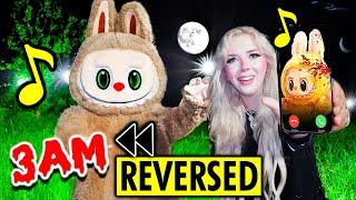 DO NOT PLAY LABUBU SONG IN REVERSE 3AM…(*LABUBU ATTACKED ME*)