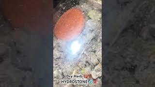 Dry Herbs?  RAW HYDROSTONE IS THE TRUTH ‼️ #Raw #hydrostone #herbs #stoner #hacks #tips