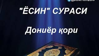 ЁСИН СУРАСИ | ДОНИЁР ҚОРИ