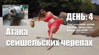 СЕЙШЕЛЫ: АТАКА ГИГАНТСКИХ ЧЕРЕПАХ | ЛАДИГ И ПРАСЛИН | 4-й ДЕНЬ