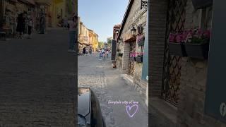 #signagi #georgia  #europe  #foryou #fypviralシ #