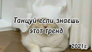 @yourdream7 Танцуй если знаешь этот тренд || 2021г тикток || все тренды|| #тикток