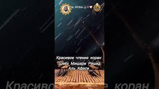 СУРА АЛЬ ФАТИХА ШЕЙХ МИШАРИ РАШИД АЛЬ АФАСИ КРАСИВОЕ ЧТЕНИЕ КОРАН #коран#сура#аят#quran#sura#alafasy