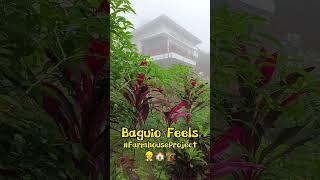 #youtubeshorts #shorts "BAGUIO FEELS" Foggy Morning at the Farmhouse Project / Vegazon Construction