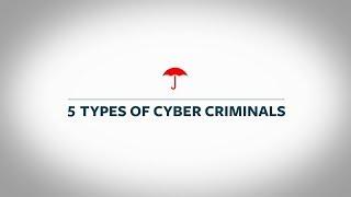 5 Types of Cyber Criminals