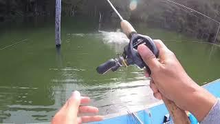 Tucunare (Peacockbass) Fishing in Suriname