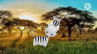 baby tv bim and bam in the animal world Zebra