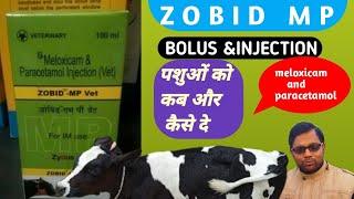 Zobid-MP Bolus & injection || Meloxicam & paracetamol || how to use zobid mp in animals