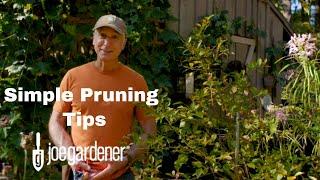 Simple Tips for Pruning Trees and Shrubs