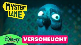 Ein seltsamer Vogel | Mystery Lane: Ein Fall für Clever & Bro