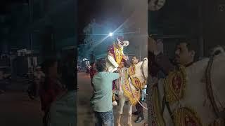 GROOM ON HORSE II INDIAN WEDDING II SDO Keshav Raidas (MPPSC-AE) is live II #WEDDING #HORSE
