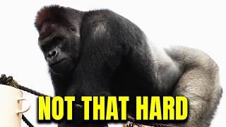 How 100 Men Could Easily Beat a Gorilla
