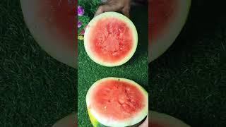 summer special #watermelon #krithika`s world