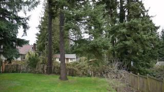 Camera Test - Windy Backyard Seattle Home