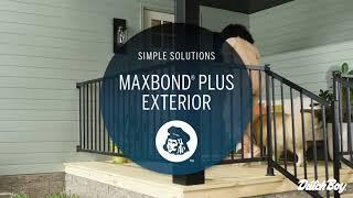 Maximize your paint power with Maxbond® Plus | Dutch Boy