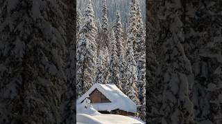 . Vivaldi - «The Four Seasons - Winter": I. Allegro non molto