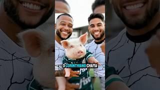 Por que o Corinthiano chama o Palmeirense de Porco ? #corinthians #palmeiras #futebol