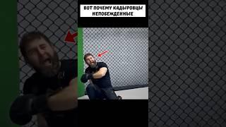 Вот как СЫН Кадырова побеждает КАЖДОГО соперника нокаутом  #мма #бокс #нокаут