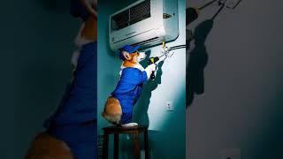 Corgi Jojo the Repairman! ️ Fixed Your AC, 5-Star Service! ⭐⭐⭐⭐⭐ #shorts #funnydogvideos