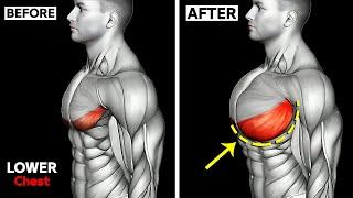 THE ONLY 10 Lower Chest Exercises You Need 