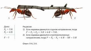 Решение задач по теме "Сложение сил. Равнодействующая сила"