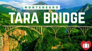 TARA BRIDGE | THE ĐURĐEVIĆA TARA BRIDGE MONTENEGRO 4K