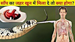 सांप का जहर खून में मिला दें तो क्या होगा | sanp katne se kya hota hai | snake bite