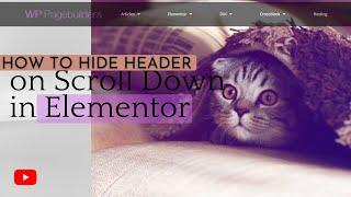 How to Hide Header on Scroll Down in Elementor