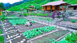 I LIVED OFF GRID For 4 YEARS And Built My DREAM FARM From Scratch!
