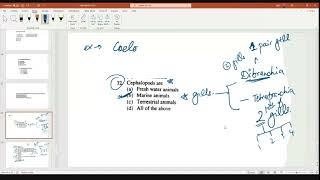 Paleontology Previous year Q&A and Numerical class video-12: BRAHMASTRA (Hinglish)