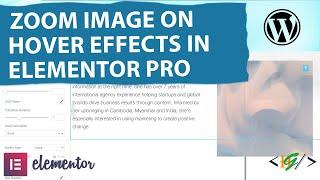 How to Zoom Image on Hover in Elementor WordPress