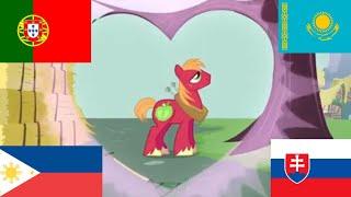 [Valentine's day] My little pony The perfect Stallion multilanguage in 16 languages